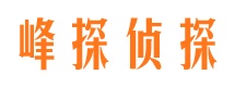 龙子湖市侦探调查公司